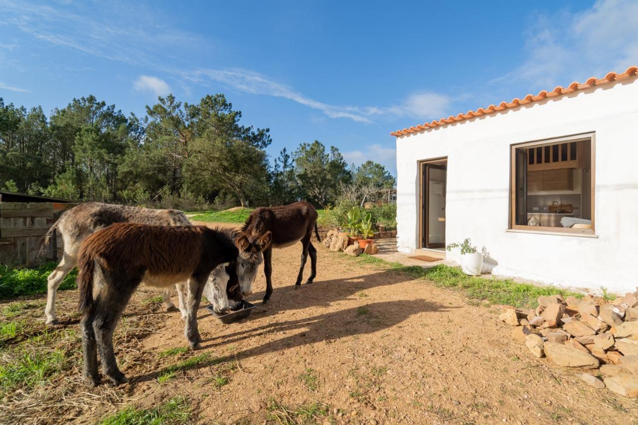 Casa Da Paz Leilighet Aljezur Eksteriør bilde