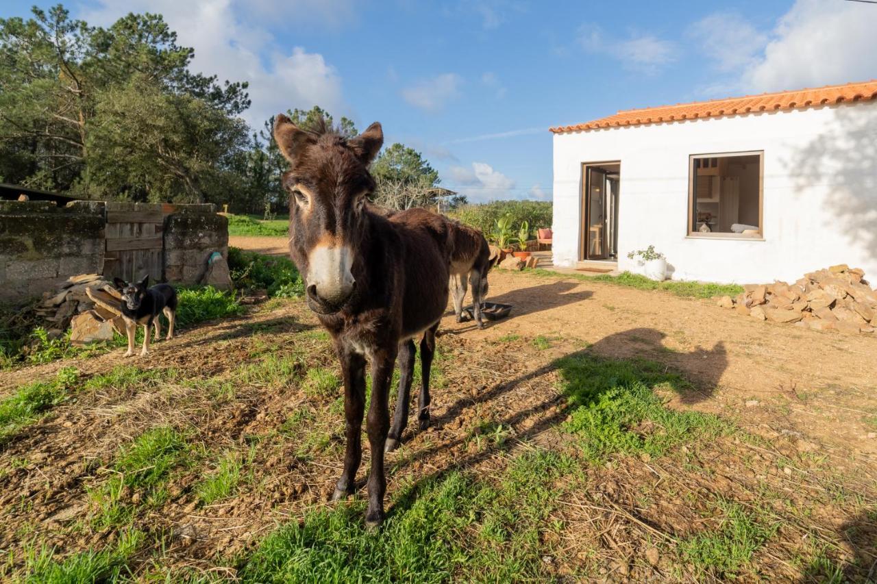 Casa Da Paz Leilighet Aljezur Eksteriør bilde