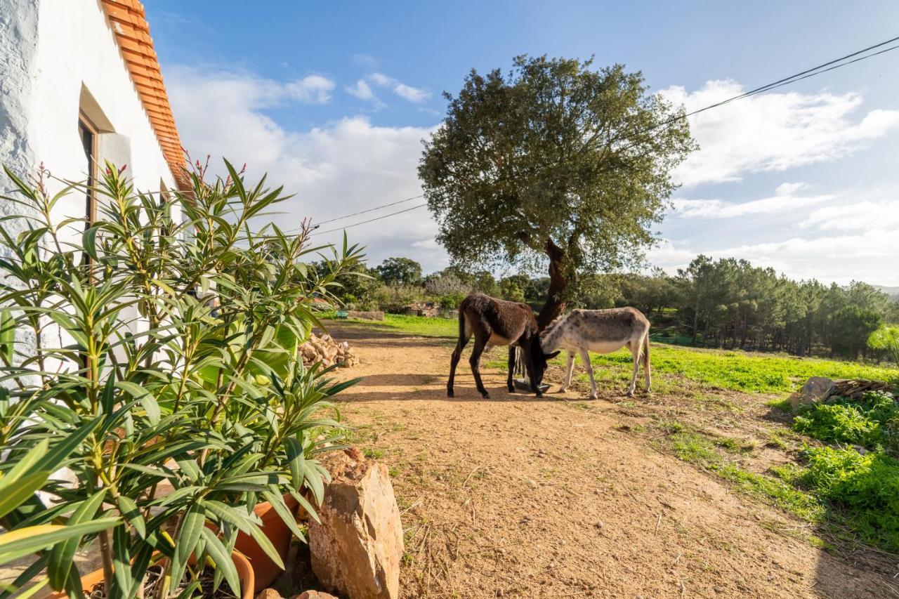 Casa Da Paz Leilighet Aljezur Eksteriør bilde